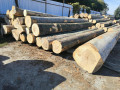 img-20261002-wa0007.jpg