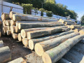 img-20261002-wa0008.jpg