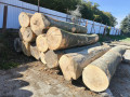 img-20261002-wa0009.jpg