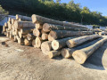 img-20261002-wa0011.jpg