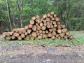 img-20261005-wa0018.jpg