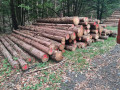 img-20261005-wa0015.jpg
