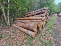 img-20261005-wa0020.jpg