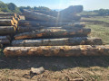 img-20261005-wa0004.jpg