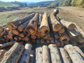 img-20261005-wa0012.jpg
