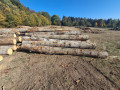 img-20261005-wa0010.jpg