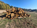 img-20261005-wa0027.jpg