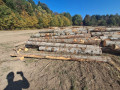 img-20261005-wa0025.jpg