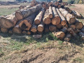 img-20261005-wa0009.jpg