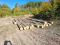 20261006_102155.jpg