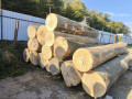 img-20261007-wa0001.jpg
