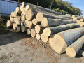 img-20261007-wa0005.jpg