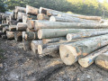 img-20261007-wa0002.jpg