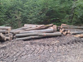 img-20261007-wa0007.jpg