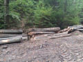img-20261007-wa0009.jpg