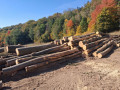 img-20261007-wa0013.jpg