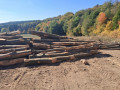 img-20261007-wa0016.jpg