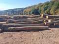 img-20261007-wa0015.jpg