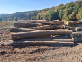 img-20261007-wa0017.jpg