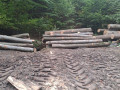 img-20261007-wa0011.jpg