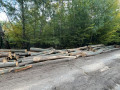 img-20261008-wa0018.jpg