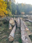 img-20261008-wa0015.jpg
