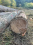 img-20261008-wa0009.jpg