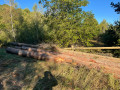 img-20261008-wa0003.jpg