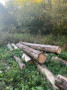 img-20261008-wa0007.jpg