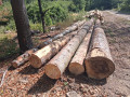 img-20261009-wa0025.jpg
