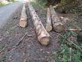 img-20261009-wa0024.jpg