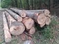 img-20261009-wa0022.jpg
