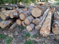 img-20261009-wa0029.jpg