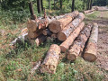 img-20261009-wa0033.jpg