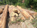 img-20261009-wa0031.jpg
