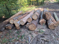 img-20261009-wa0028.jpg