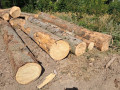 img-20261009-wa0030.jpg