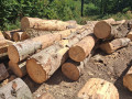img-20261009-wa0032.jpg