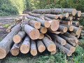 img-20261009-wa0013.jpg