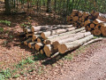 img-20261009-wa0014.jpg
