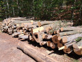img-20261009-wa0017.jpg