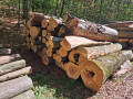 img-20261009-wa0015.jpg