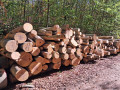 img-20261009-wa0016.jpg