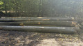 img-20261012-wa0004.jpg
