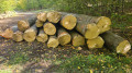 img-20261012-wa0005.jpg