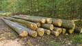 img-20261012-wa0006.jpg
