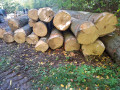 img-20261012-wa0008.jpg