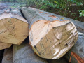 img-20261012-wa0016.jpg
