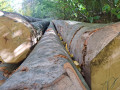 img-20261012-wa0018.jpg