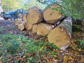img-20261012-wa0021.jpg